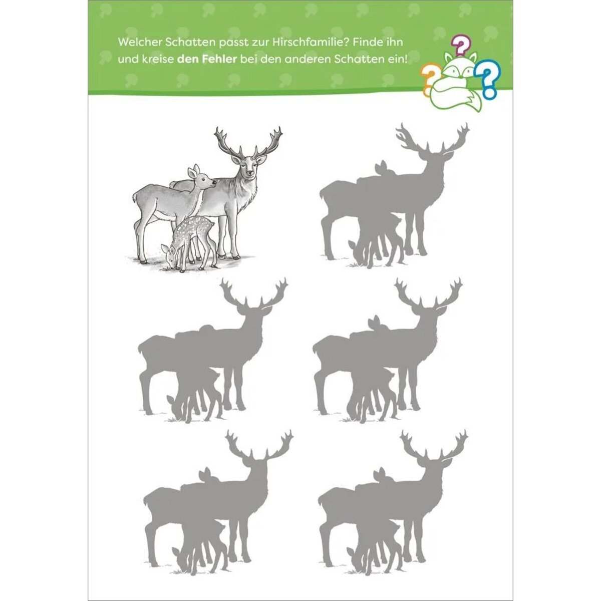 tessloff-wald-und-wiesen-raetselspass-240E01572.jpg