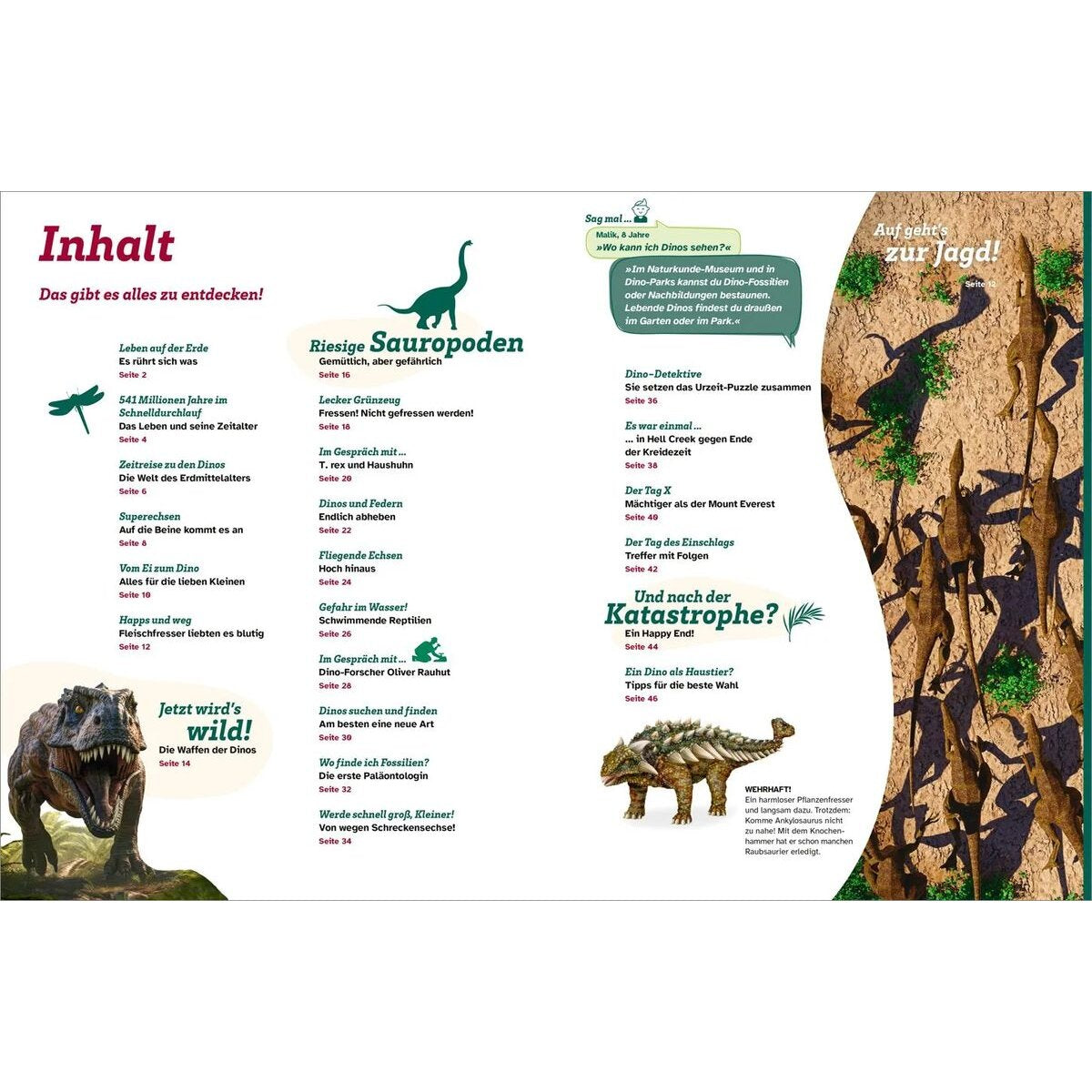 tessloff-was-ist-was-dinosaurier-13A99AC42.jpg