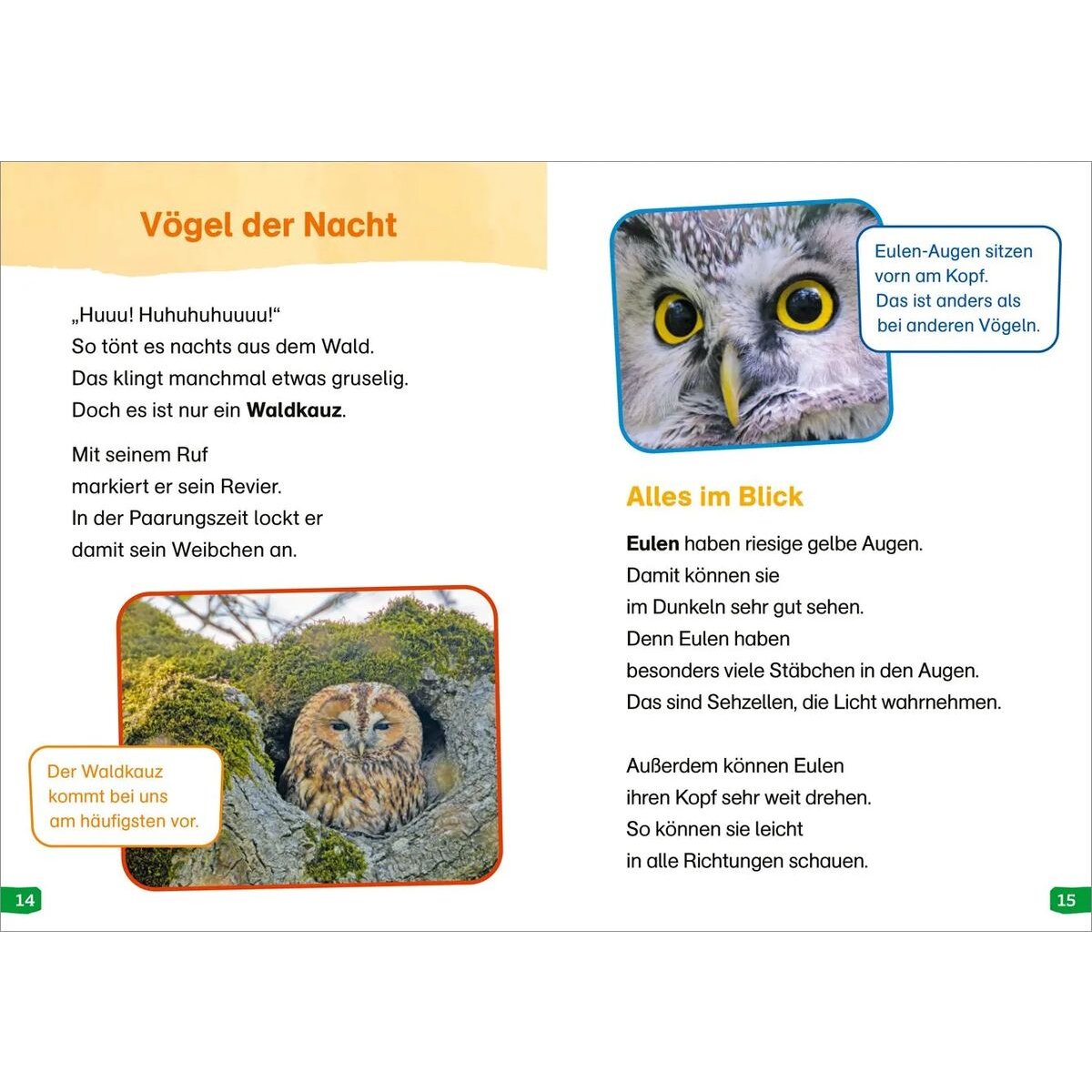 tessloff-was-ist-was-erstes-48A4A7D84.jpg