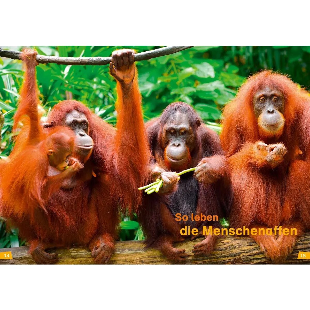 tessloff-was-ist-was-erstes-4F609E8D2.jpg