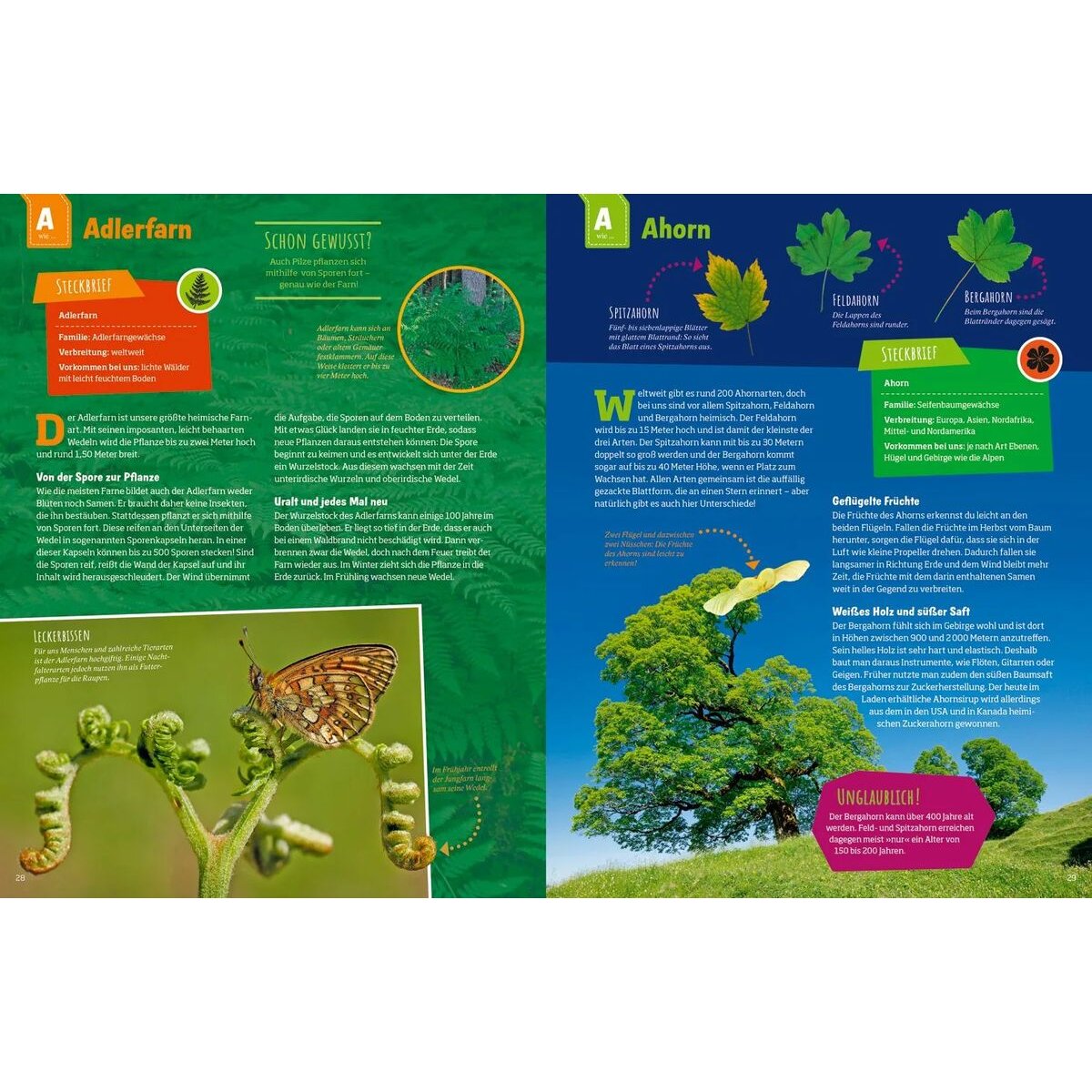 Tessloff WAS IST WAS Geniale Natur! Die Supertricks unserer Tiere und Pflanzen