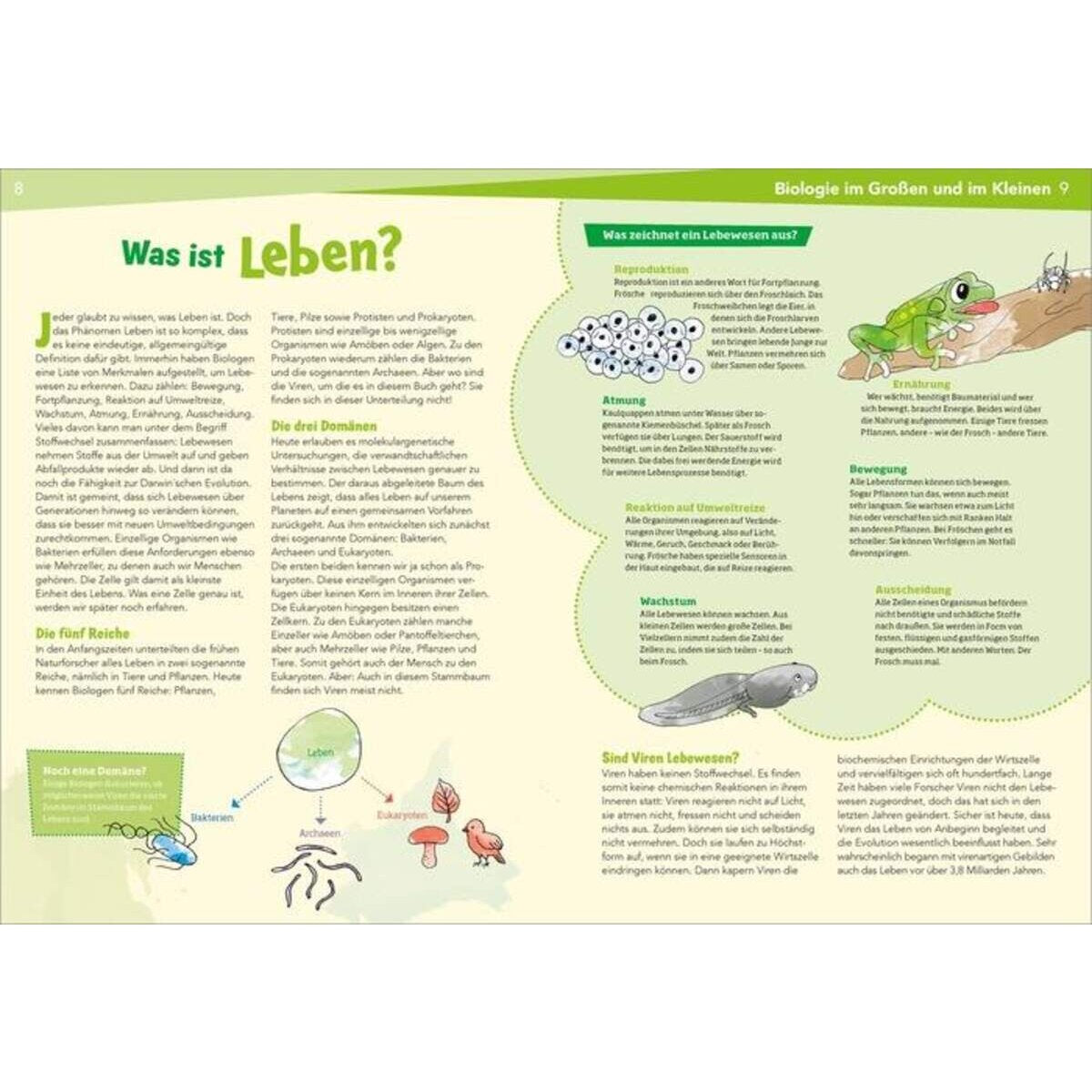 Tessloff WAS IST WAS Naturwissenschaften easy! Biologie. Die Viren und wir