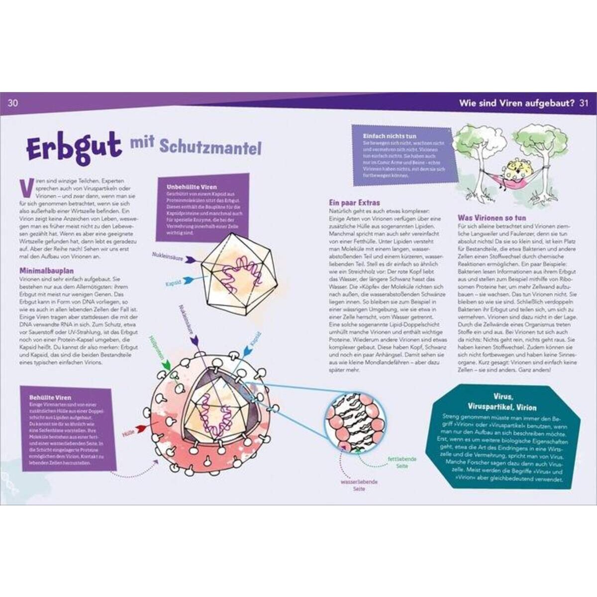 Tessloff WAS IST WAS Naturwissenschaften easy! Biologie. Die Viren und wir