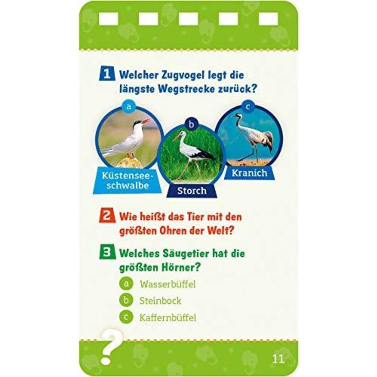 tessloff-was-ist-was-quiz-1F86E9156.jpg