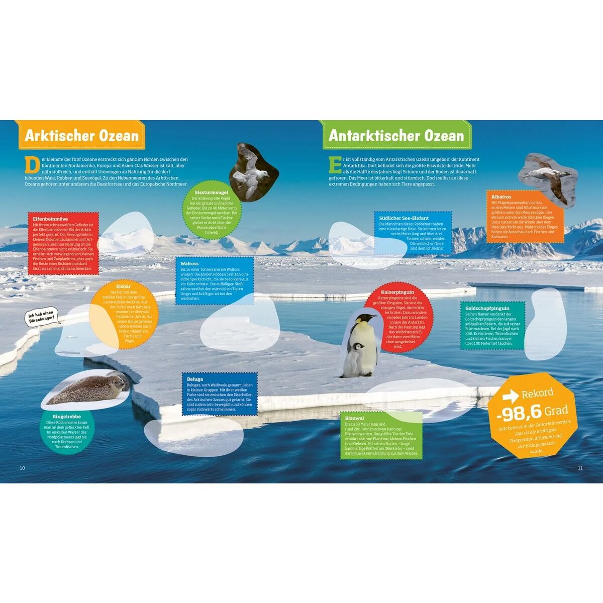 tessloff-was-ist-was-stickerheft-0FE7254F3.jpg