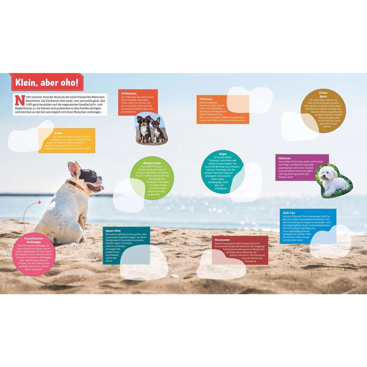 tessloff-was-ist-was-stickerheft-21B653BD3.jpg