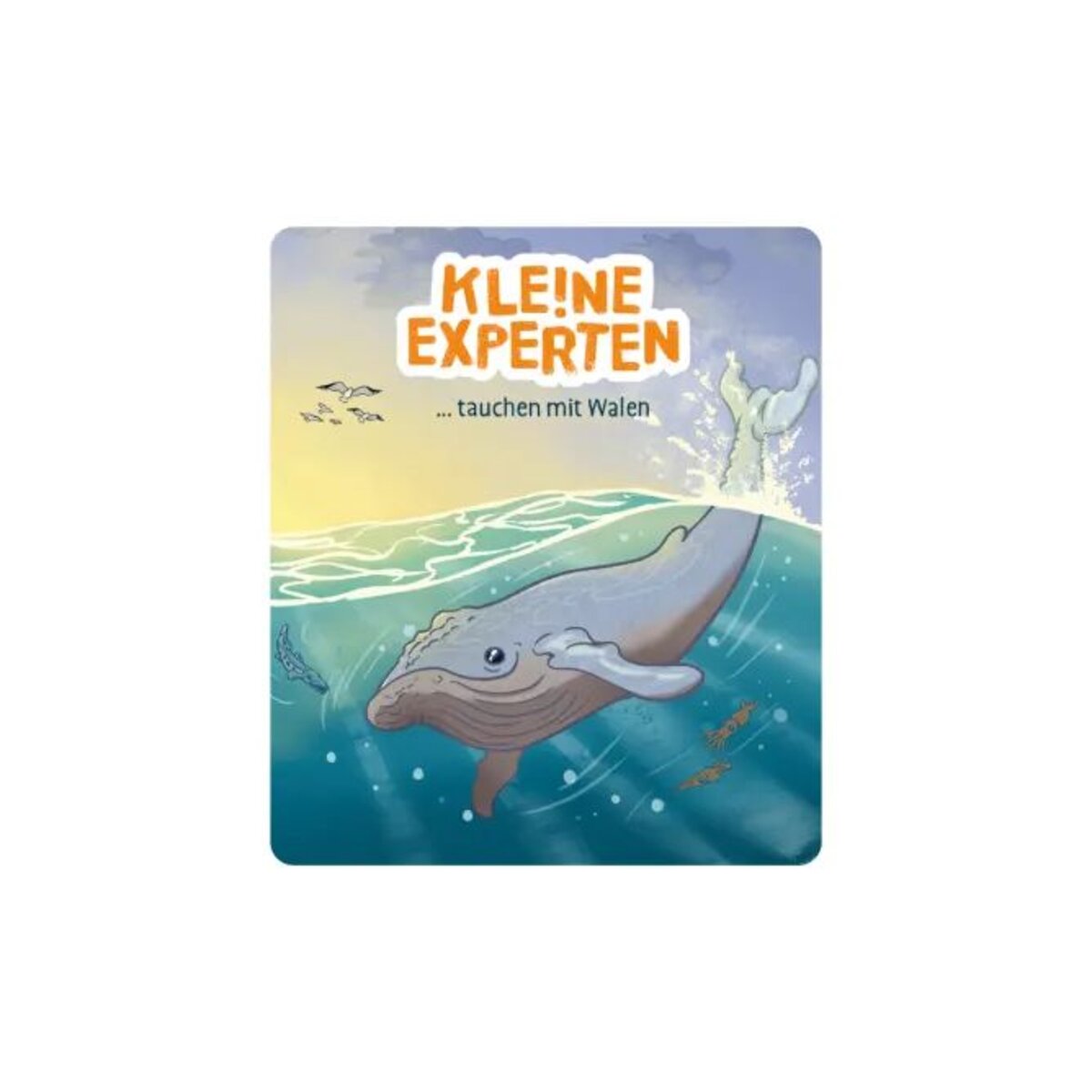 tonies-klene-experten-tauchen-mit-42B848733.jpg
