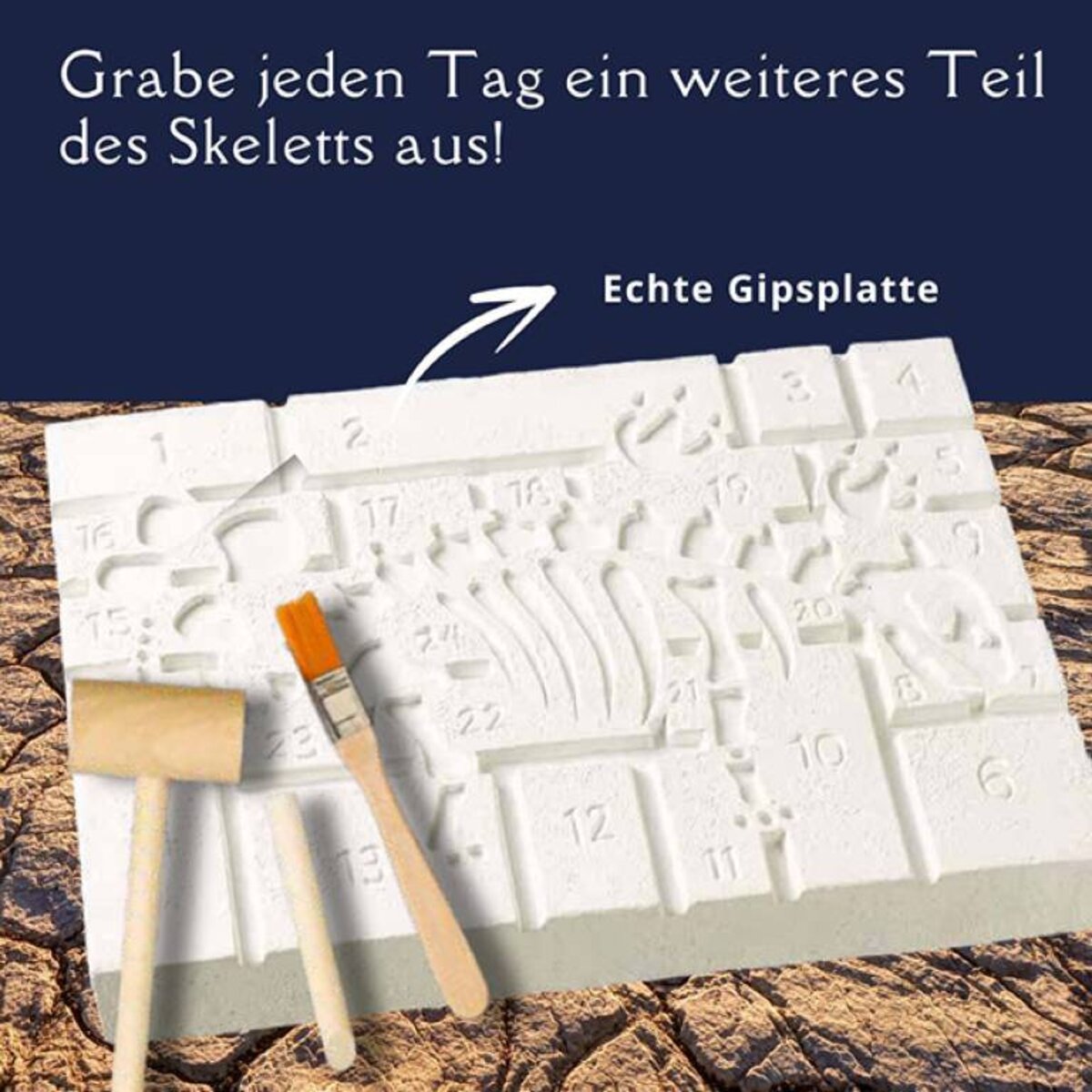 Topp Der Ausgrabungs-Adventskalender 24 coole Überraschungen zum Ausgraben