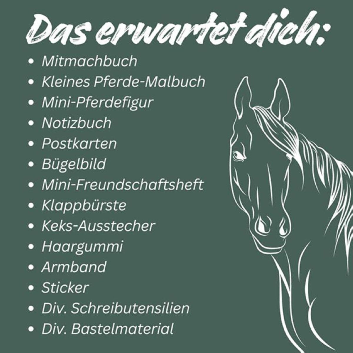 Topp Der kreative Adventskalender 24 Überraschungen für Pferde-Fans