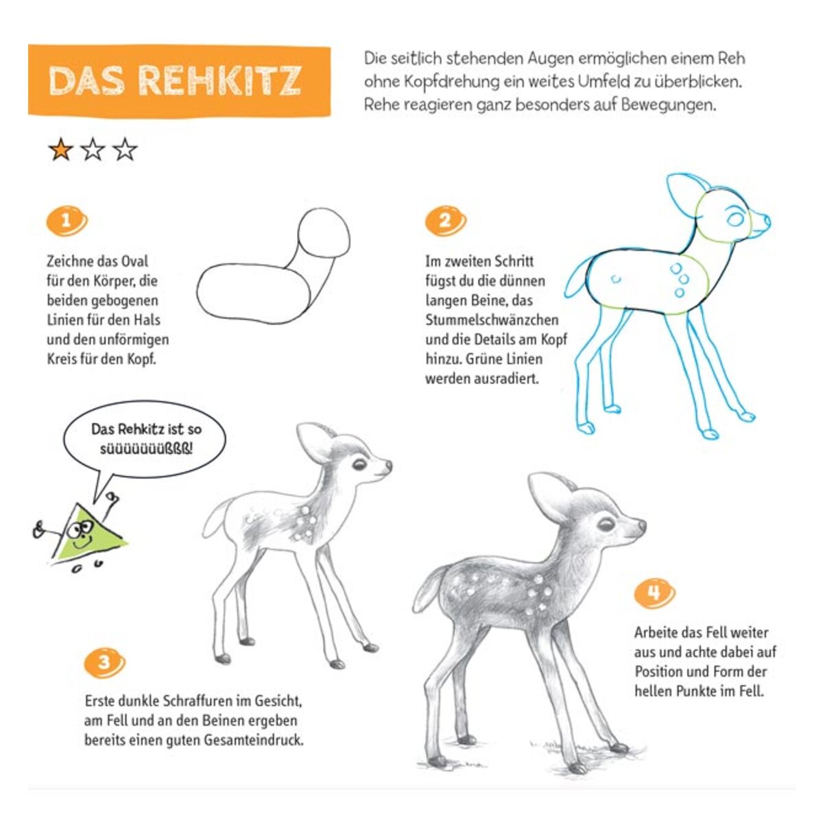 topp-die-kunst-des-zeichnens-2C419AAD3.jpg