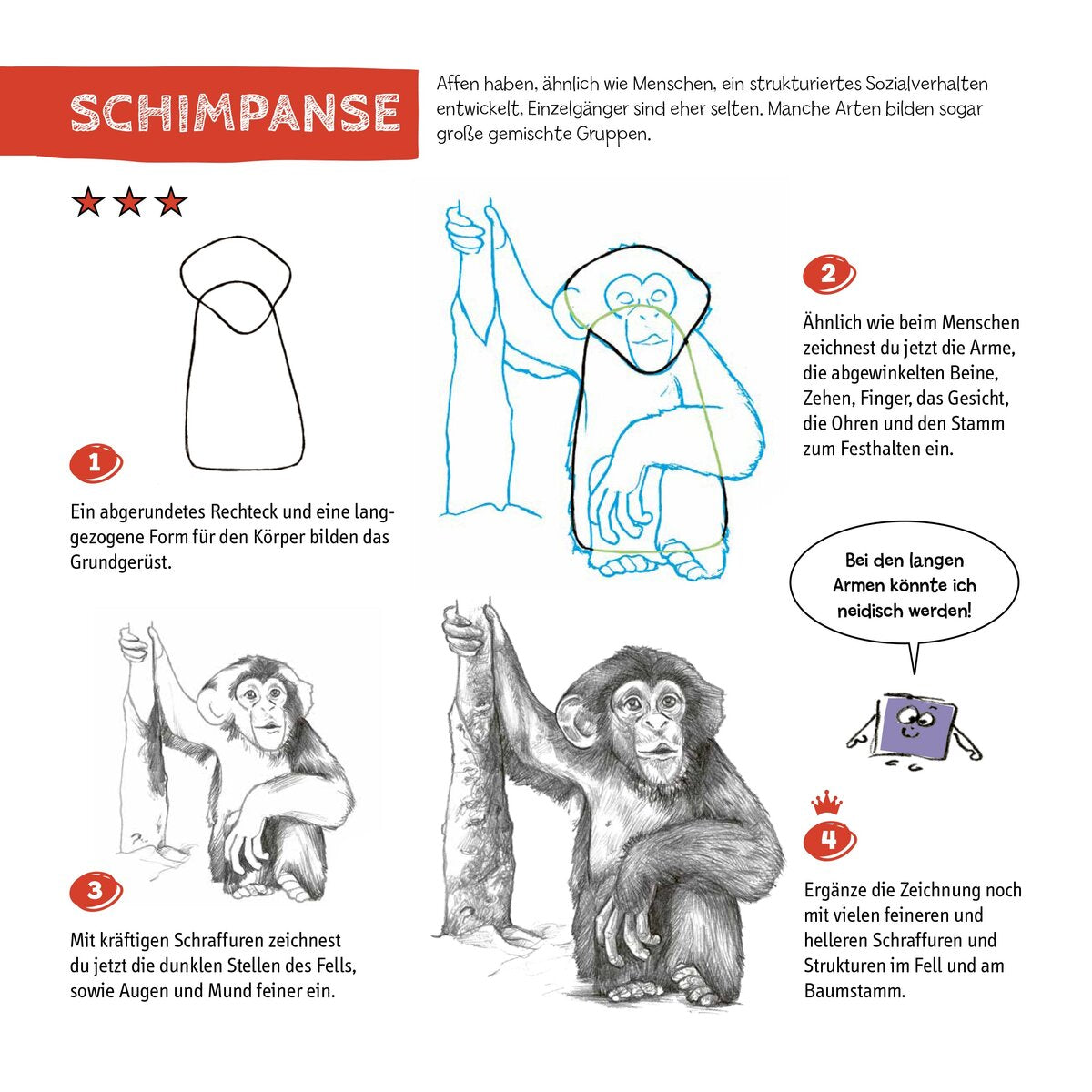 topp-die-kunst-des-zeichnens-2C419AAD5.jpg